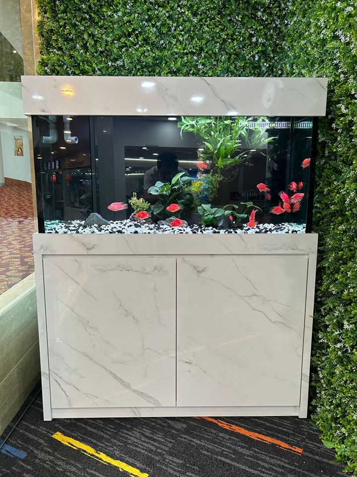 u14911-356893315_576330578031659_4148298415728325919_n