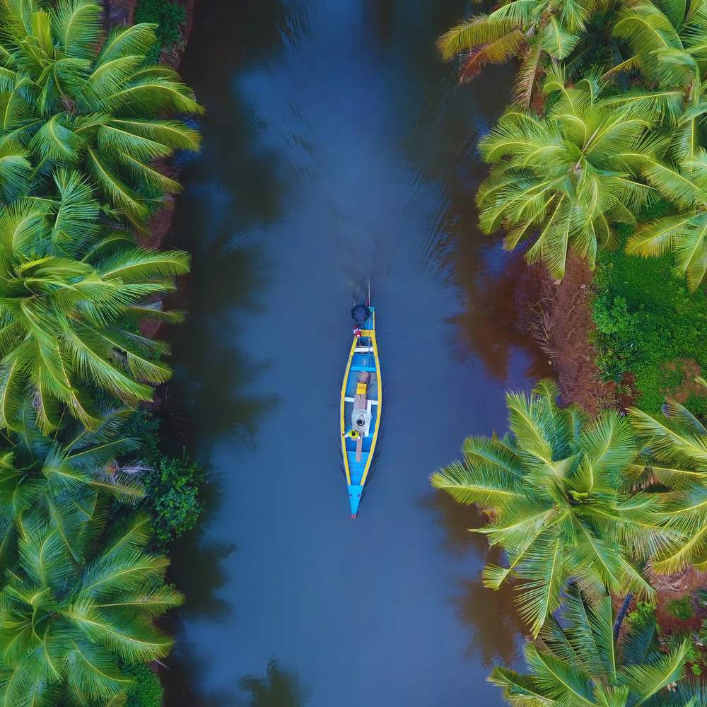 Best Places to Visit in January in India | Bout India Tours