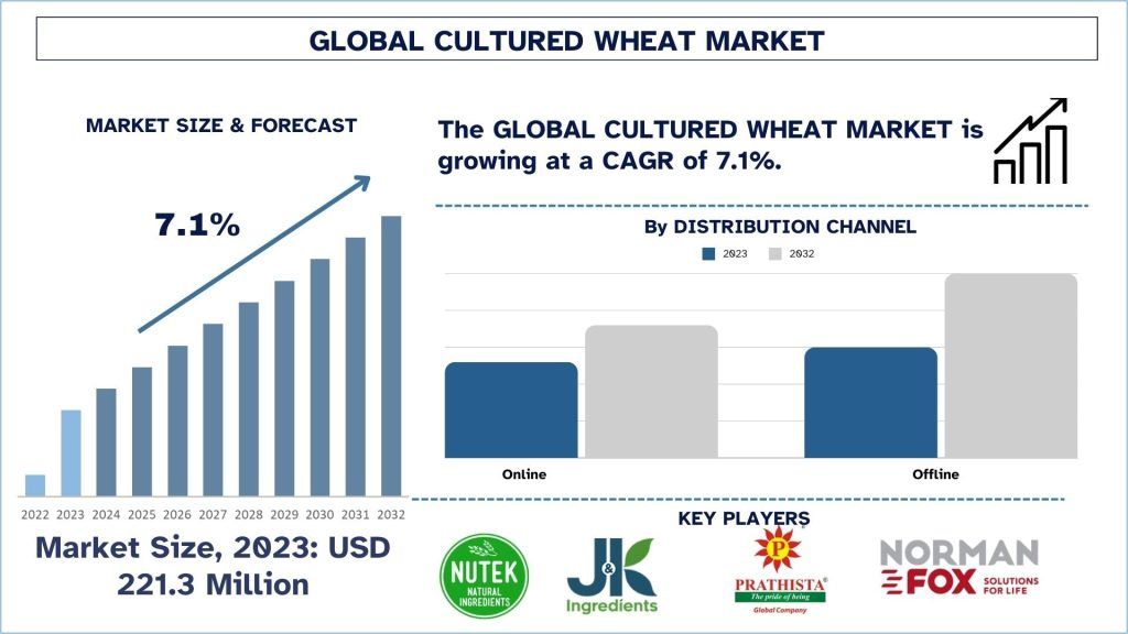 Cultured Wheat Market Size, Growth, Trends, Forecast (2024-2032)