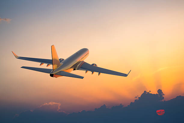 Maximize Frequent Flyer Benefits with Flighta