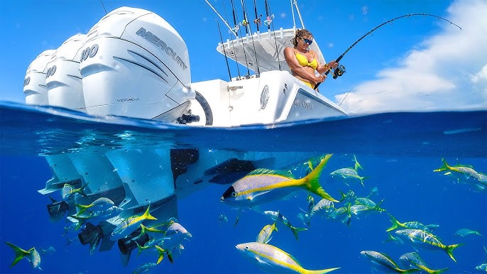 Florida Fishing Charters: Explore the Best Spots with Expert Guides