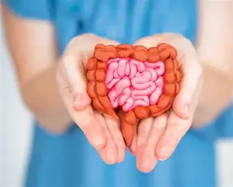 Revitalyn Gummies Review (USA): Natural Skin & Gut Health Support for Daily Wellness