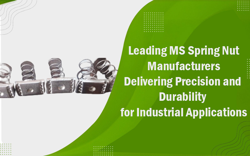 Leading-MS-Spring-Nut-Manufacturers-Delivering-Precision-and-Durability-for-Industrial-Applications