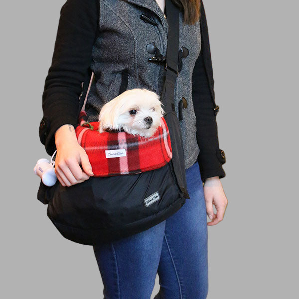 Cozy Comfort: Why Dog Blankets & Liners Matter for Your Pup