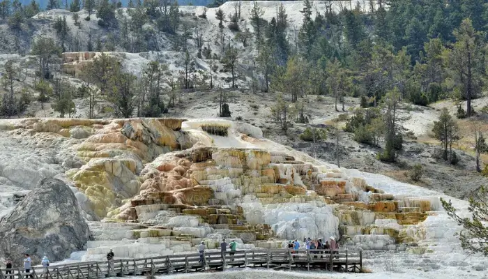 Why 2026 Is the Best Time to Book Mammoth Vacation Rentals Early