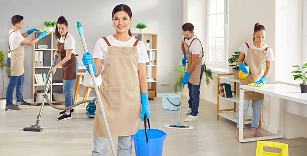 Professional-Cleaning