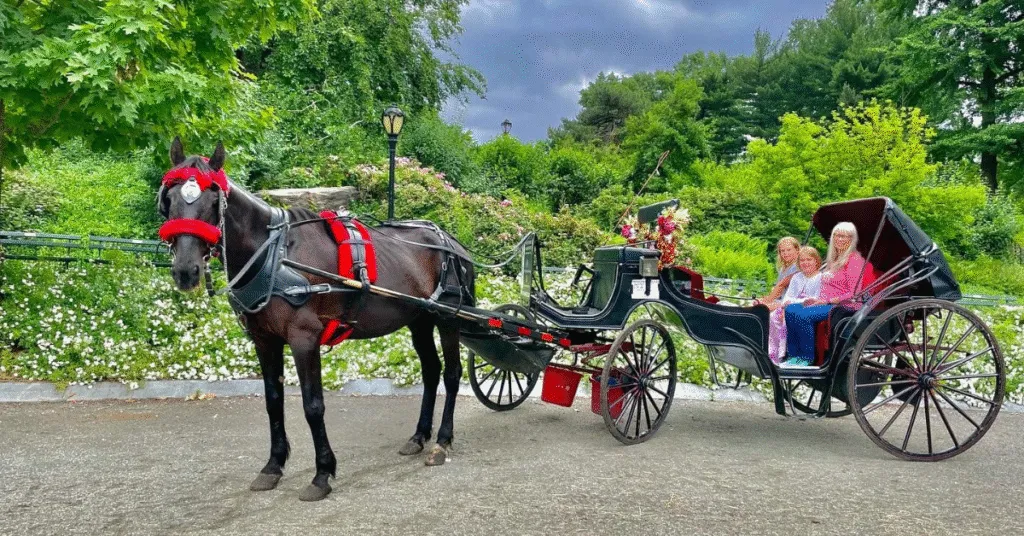Romantic-and-Relaxing-Horse-Carriage-Rides-in-Central-Park-img-1024x536-1