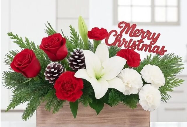 Christmas flower arrangements
