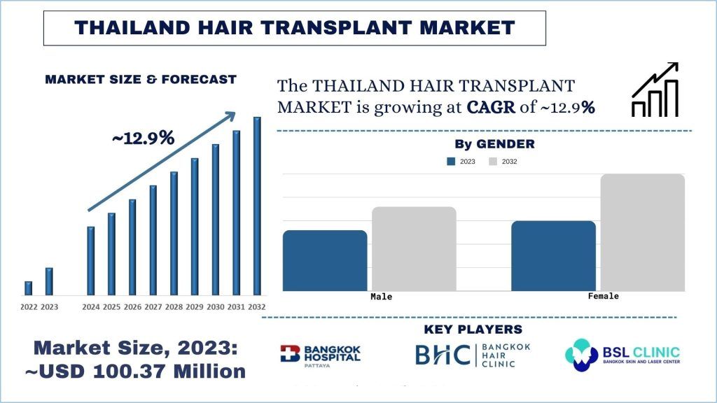 Thailand Hair Transplant Market Size, Growth, Trends, Forecast (2024-2032)