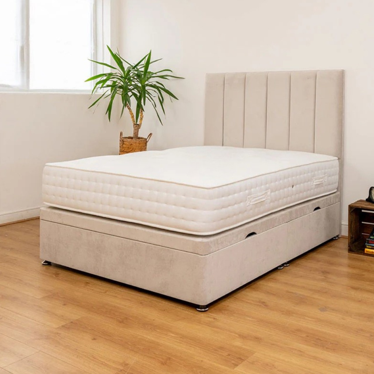 WhatsApp-Image-2025-11-20-at-2.54.35-AM