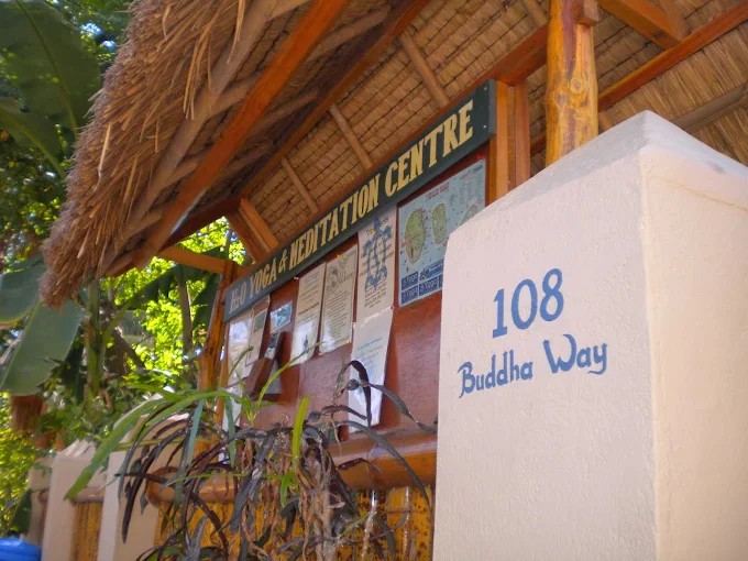 Top Yoga Retreats in Bali for Beginners & Advanced Yogis