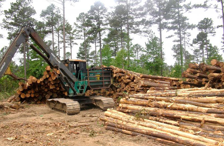 Timber management