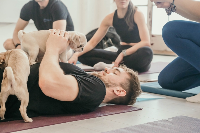 Real Stories: How Puppy Pose Yoga Helped These Dogs Thrive