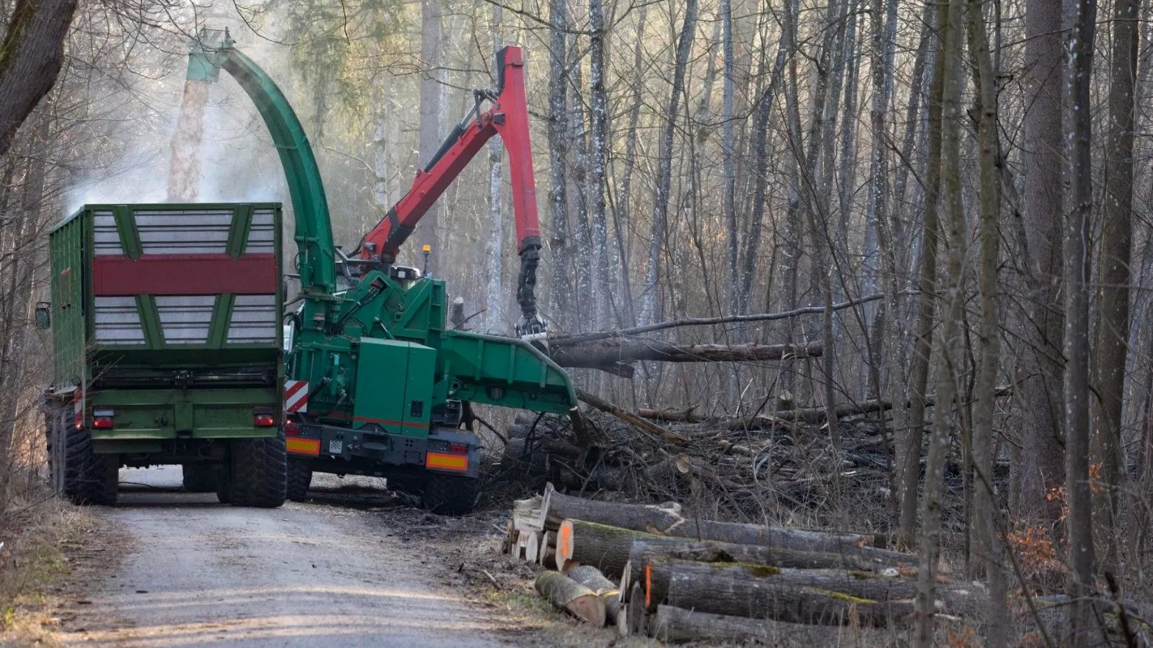 Affordable Tree Service in Conroe, TX for Every Home
