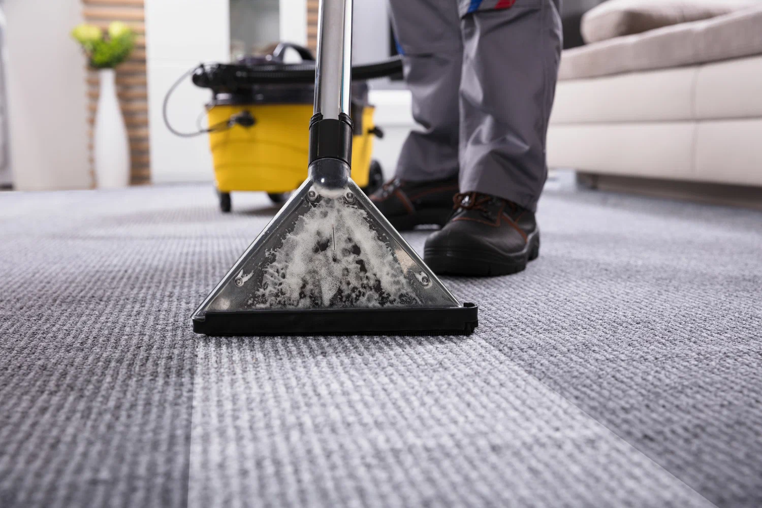 Refresh Your Home with Expert Carpet Shampoo Services in Signal Hill, CA