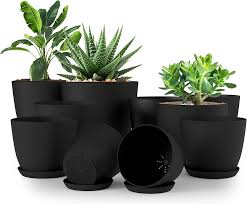 Utopia Home Plant Pots with Drainage Review: The Ideal Choice for Healthy Plants