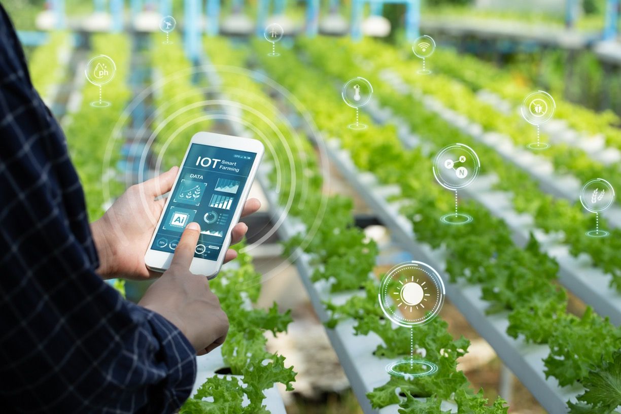Agriculture IoT and the Shift Toward Sustainable Food Production