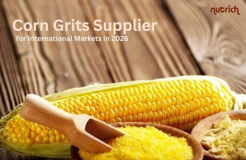  Corn Grits Supplier for International Markets in 2026: Why Global Buyers Trust Nutrichfoods   