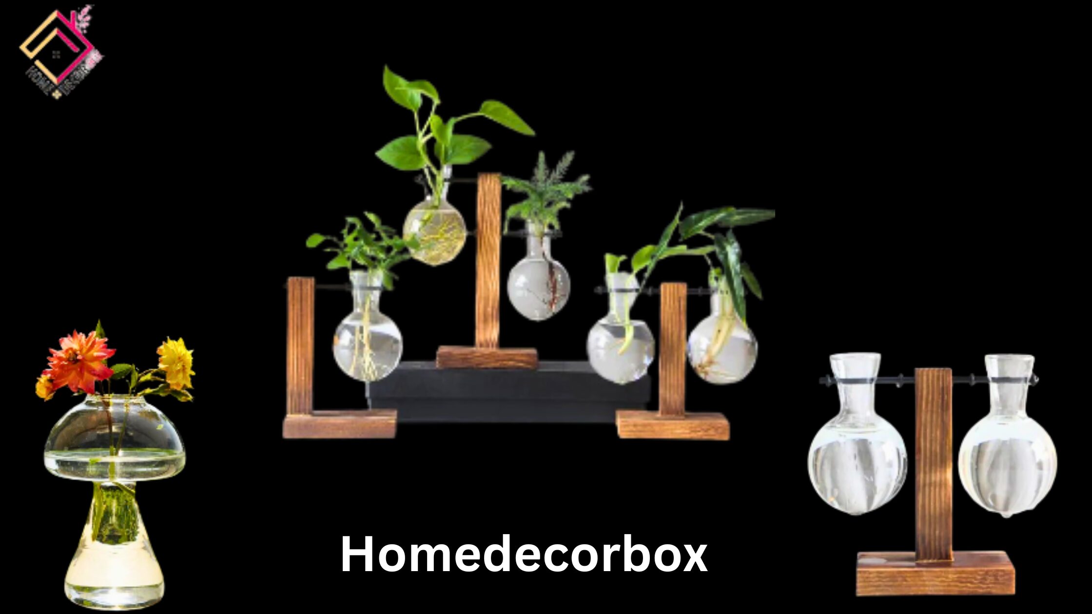 Glass-Vase-For-Hydroponic-Plants-