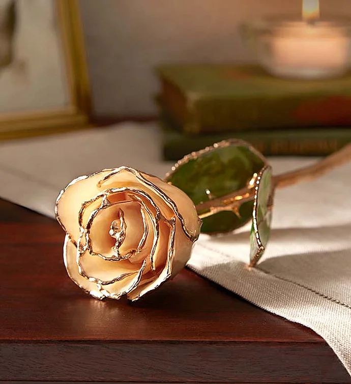Gold Plated Rose: A Luxurious Keepsake for Special Moments
