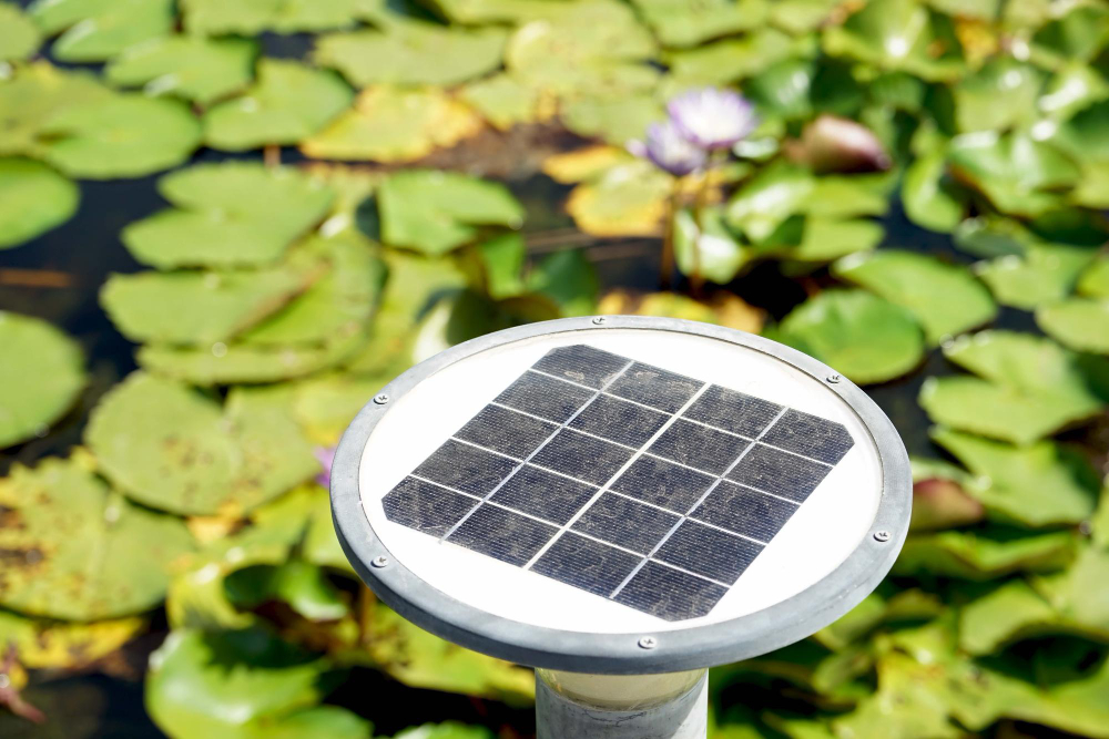 Solar Power for Your Home: Easy DIY Aquascape Installation