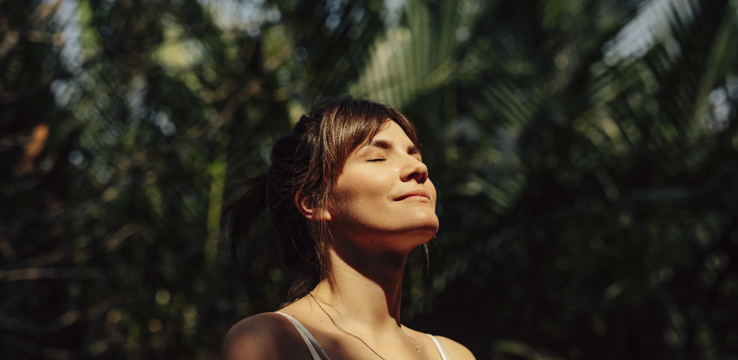 Kollagen-Hydrolysat@2x.7d956c7c