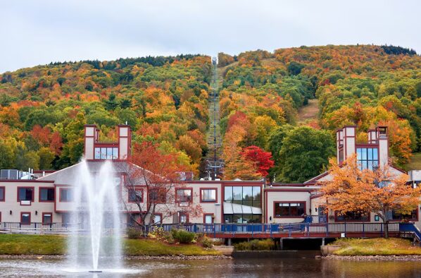Experience a Tranquil Escape: Barn Retreat in Anna-Jonesboro, IL and Unique Stay in Anna-Jonesboro