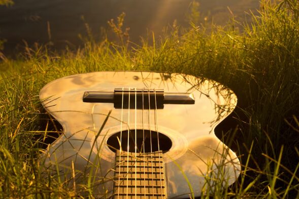 20 String Acoustic Harp Guitar and 20 String Acoustic-Electric Harp Guitar: A Complete Guide for Modern Musicians