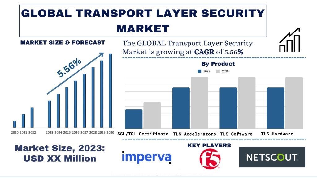Transport_Layer_Security_Market_size_forecast_1_3dba18f558-1