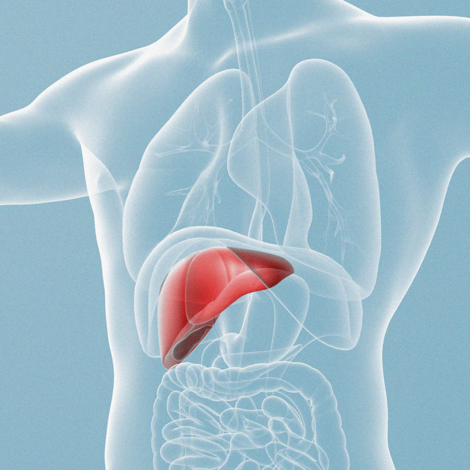 What a Hepatologist in Dubai Can Do for Liver Conditions