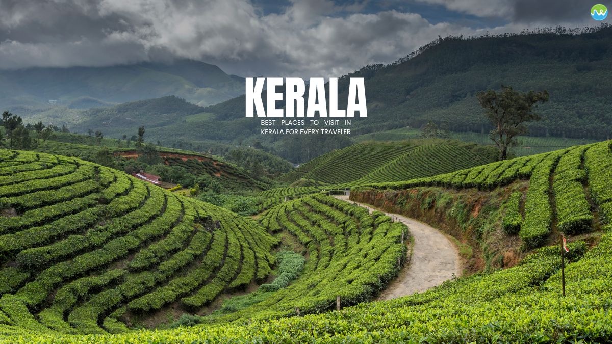 ✨Kerala Holiday Guide: Exploring Top Tourist Destinations in Kerala with Comfort and Ease✨