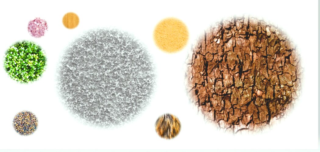 How Self-Discipline Shapes Elite Athletes Long Before Fame?