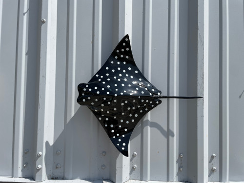 Ultimate Guide to Saltwater Fish Mounts: Showcase Your Catch with Lifelike Art