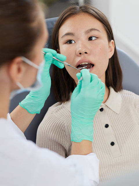 Top Hungarian Universities for International Students: The 2026 Ultimate Guide