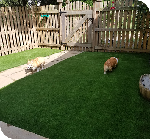 Transform Your Outdoor Space with Professional Synthetic Turf Installation