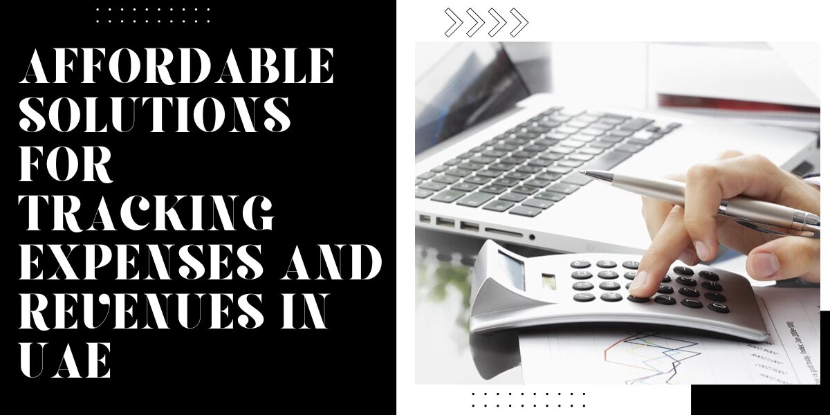 Affordable Solutions for Tracking Expenses and Revenues in UAE