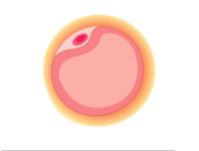 How Hormones Really Impact Egg Quality and Female Fertility