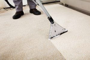 Carpet Cleaning Wembley: Remove Pet Stains Forever