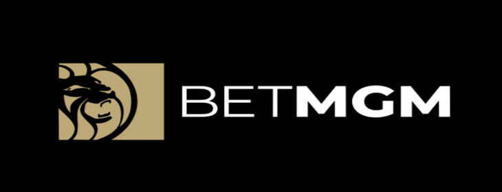 A Major Player in the Online Casino Space – BetMGM Casino