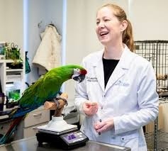 Care For Exotic Pets: Top Exotic Animal Vet Tips
