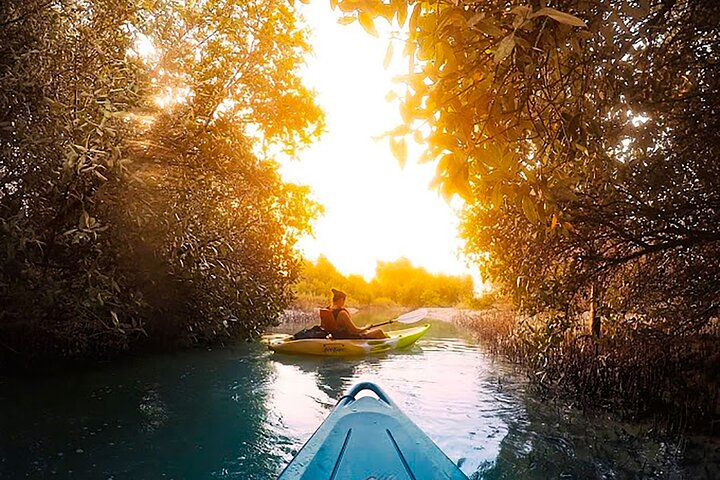 Kayaking in Abu Dhabi – Discover Nature Beyond the Skyline