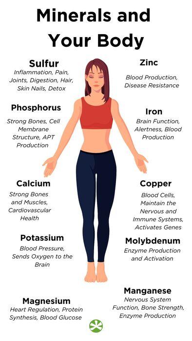 Minerals – Complete Guide to Essential Mineral Health