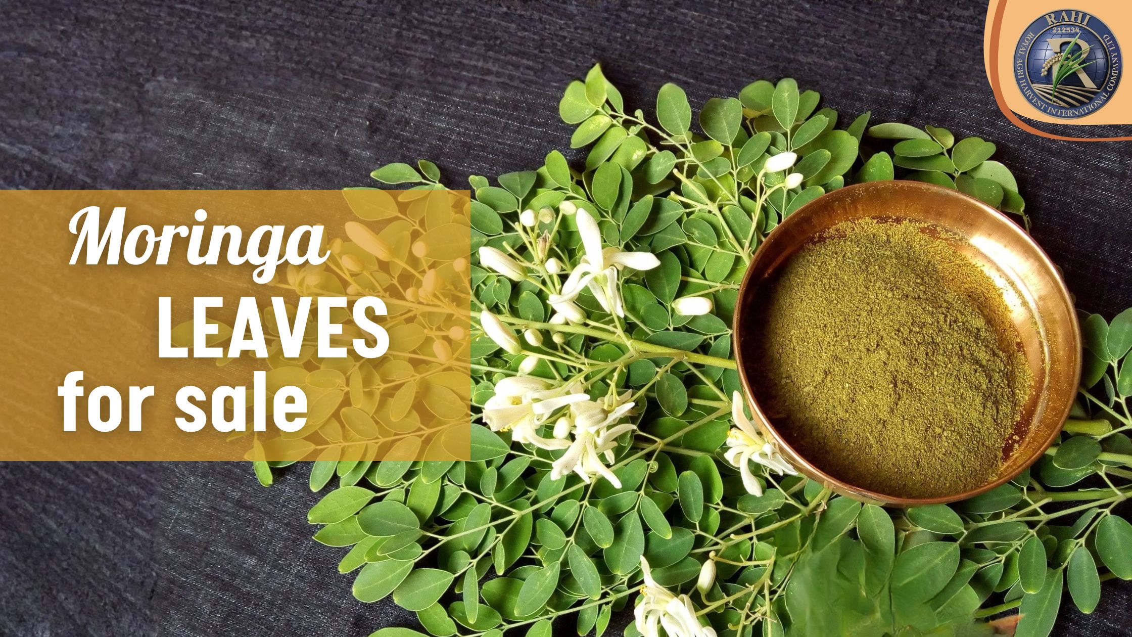 Moringa Leaves for Sale: How Importers Identify Premium Quality Supply