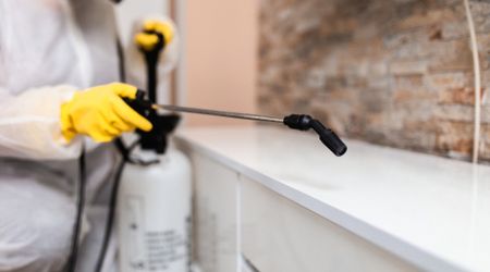 Integrated Pest Management in Dubai: The Smart Long-Term Solution for Cockroach Control