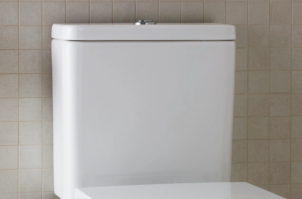 Single Flush vs Dual Flush Toilet Cistern: Which Is Better?
