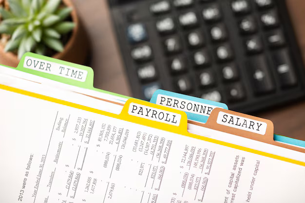 Payroll Management Software for Accurate Bonus and Incentive Processing