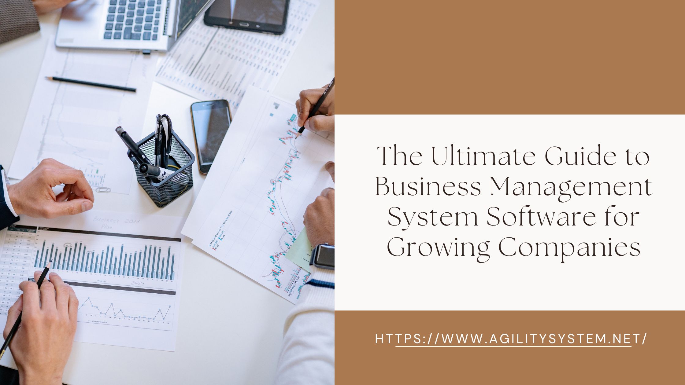 The Ultimate Guide to Business Management System Software for Growing Companies