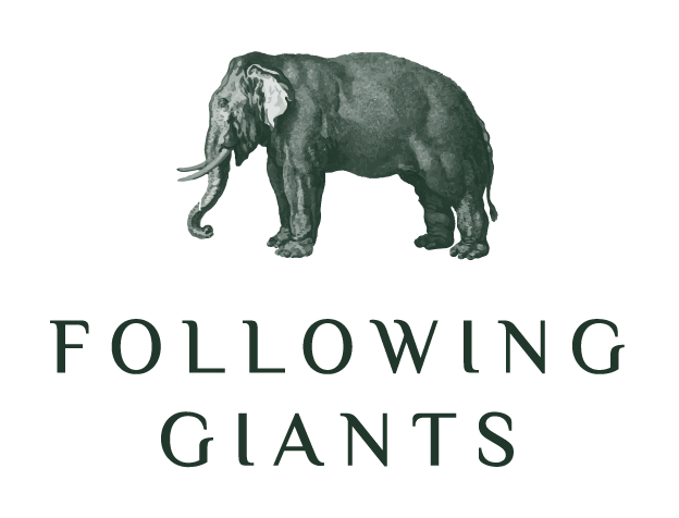 Ethical Koh Lanta Elephant Sanctuary in Thailand