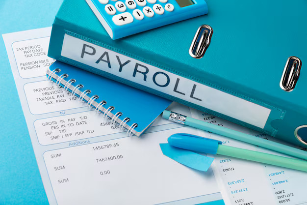 Addressing Payroll Complexities with HRMS Software Mumbai Solutions