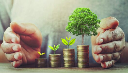 Dreamlife Blueprint Coaching: Simple Ways to Earn Extra Income Fast